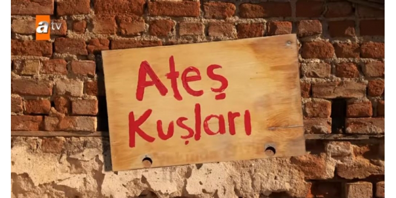 Ateş Kuşları Dizisinin Konusu Nedir? Kimler Oynuyor?